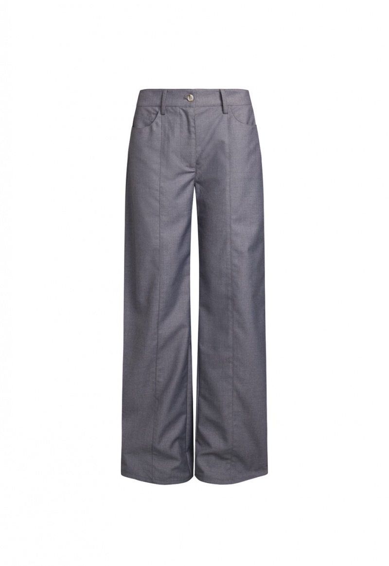 Pantalon Lioness Dawson Gris | España-NZYGT2681