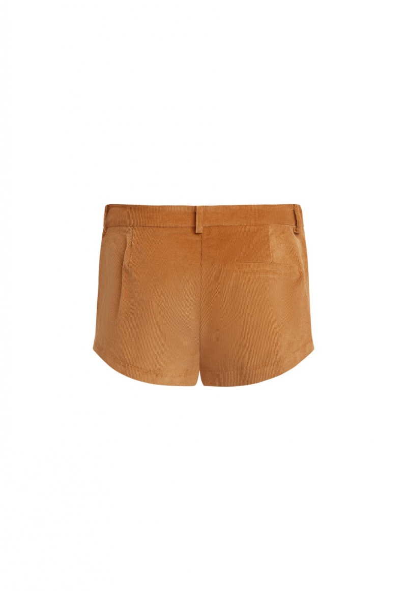 Short Lioness Saddle Marrones | España-NYKLI2678